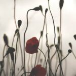 Astrid Kukowski Psychotherapie & Hypnose Göttingen. Behandlung von Depressionen mit ursachenorientierter Hypnose