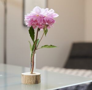 Psychotherapie & Hypnose Astrid Kukowski Göttingen Behandlung von Angst, Depressionen, Trauma, Zwang, Schmerzen, Psychosomatik mit ursachenorientierer Hypnose